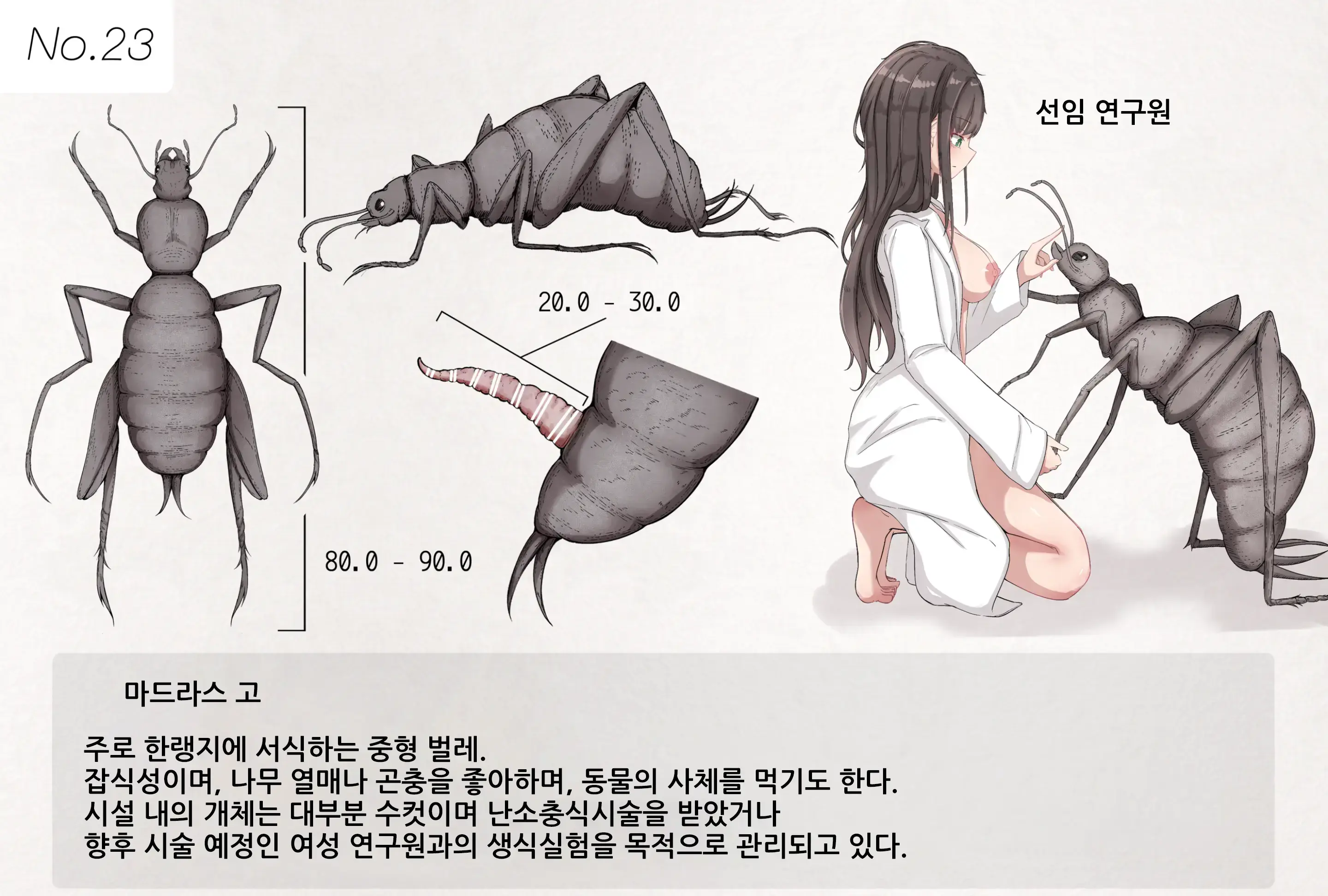Insect Research Report